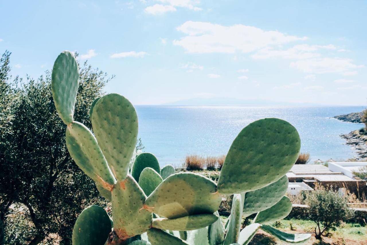 Villa The Elaia House Mykonos à Ornos  Extérieur photo