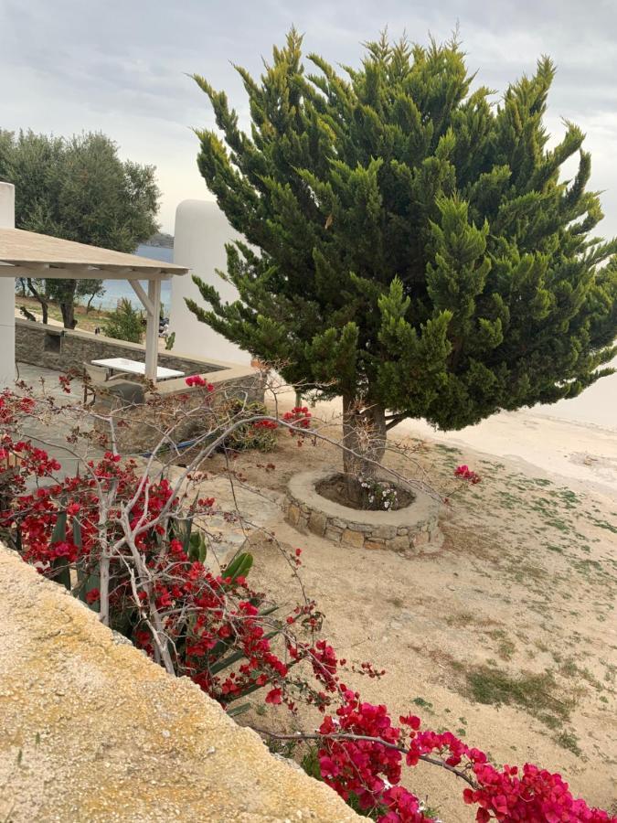 Villa The Elaia House Mykonos à Ornos  Extérieur photo